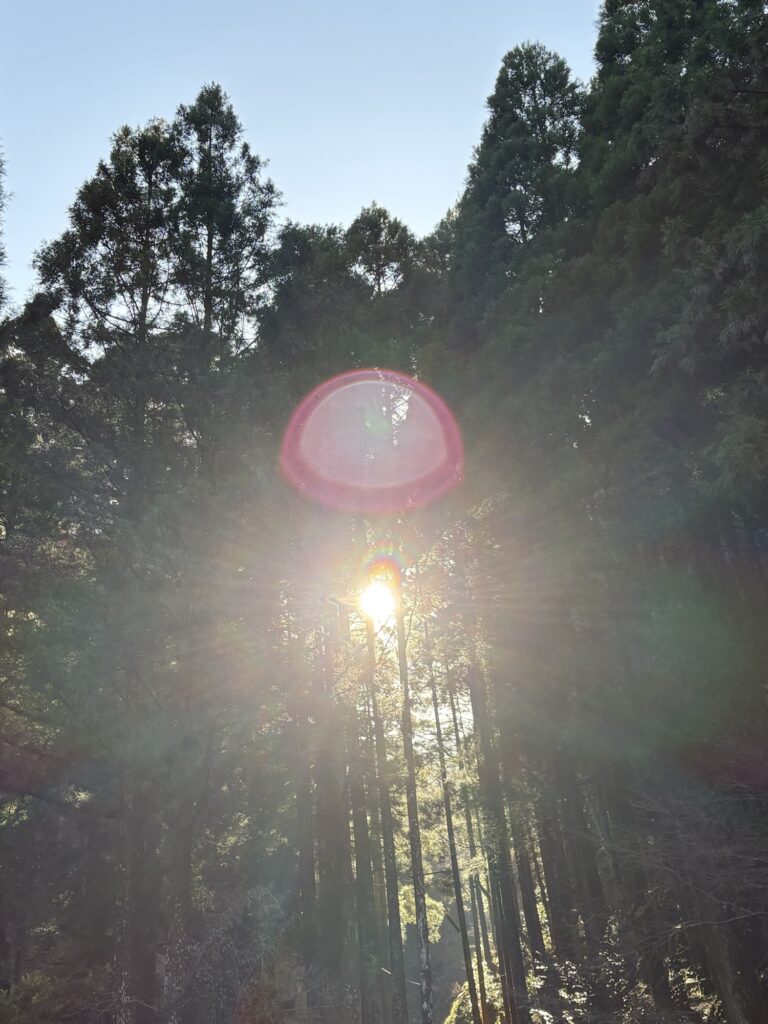 5期目スタートいたしました🐎